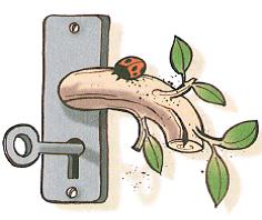 (בספר איורים)